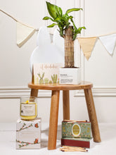 Kit Newborn Happiness